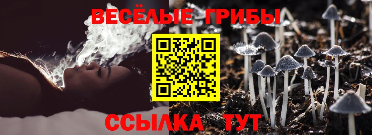 Псилоцибиновые грибы Psilocybe  Вход с VPN  Якутск 