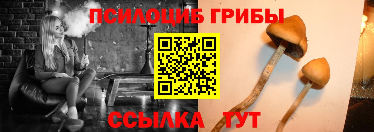 Галлюциногенные грибы прущие грибы Якутск